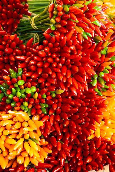 Eggers, Julie 아티스트의 Italy-Venice Colorful spicy peppers (pepperoncini) on display and for sale in the Rialto Market작품입니다.